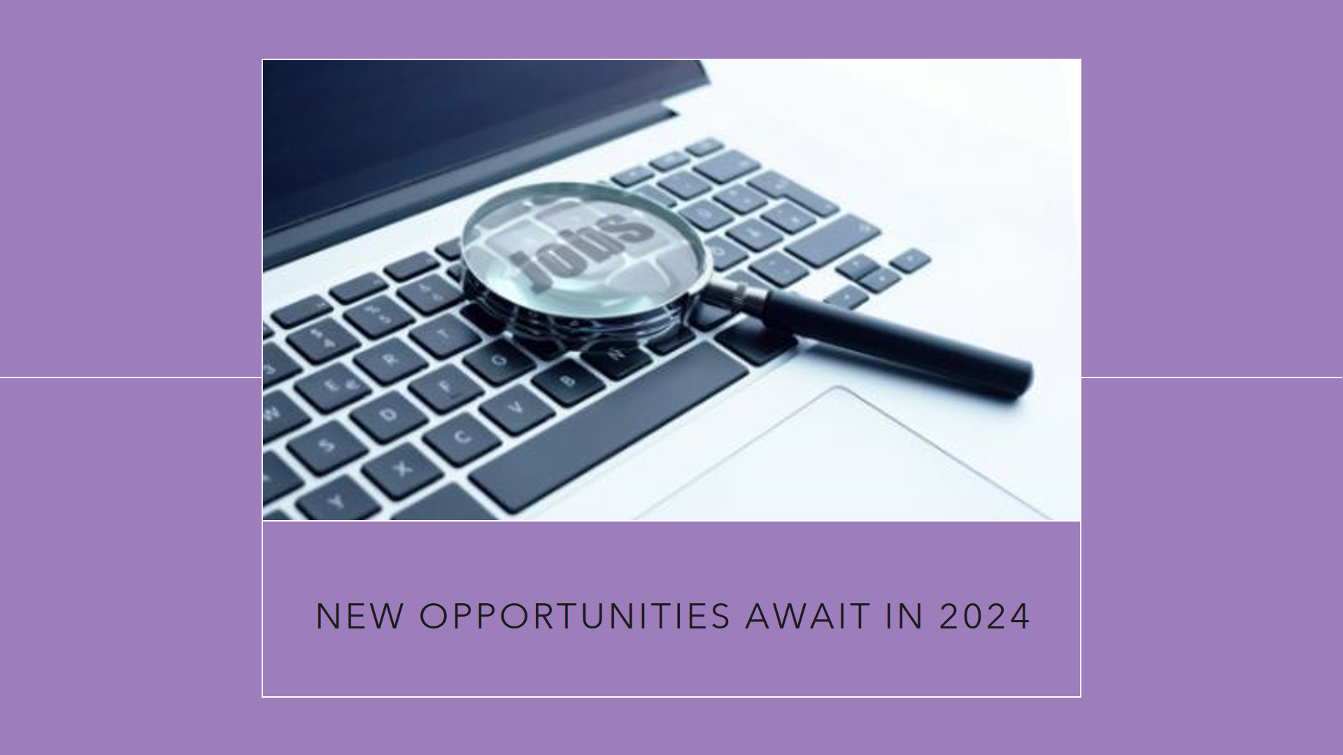 New opportunities in the labor market 2024