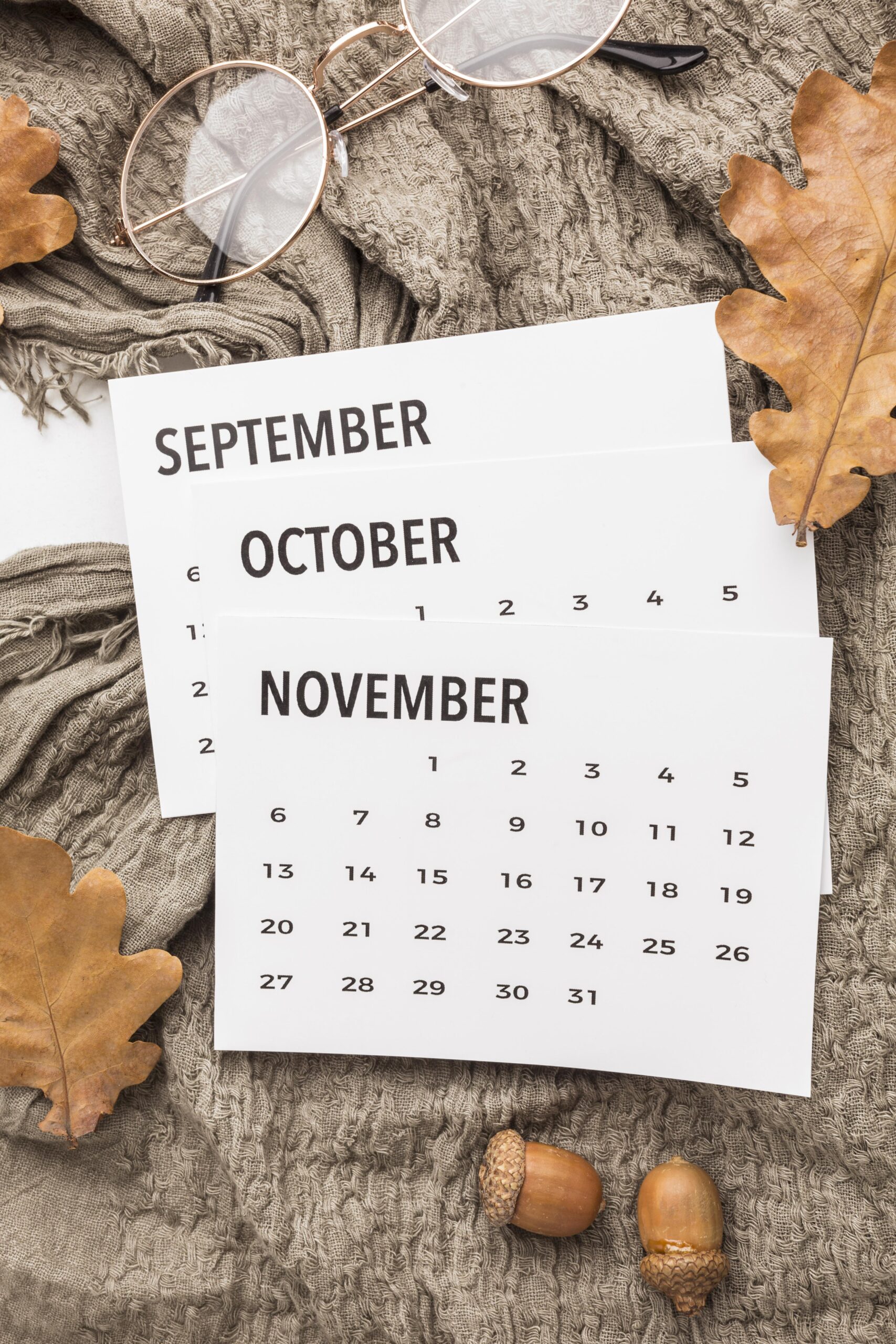 Job Market Insights: September to November